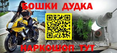 ГАЛЛЮЦИНОГЕННЫЕ ГРИБЫ Камышлов
