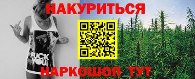трава Кандалакша