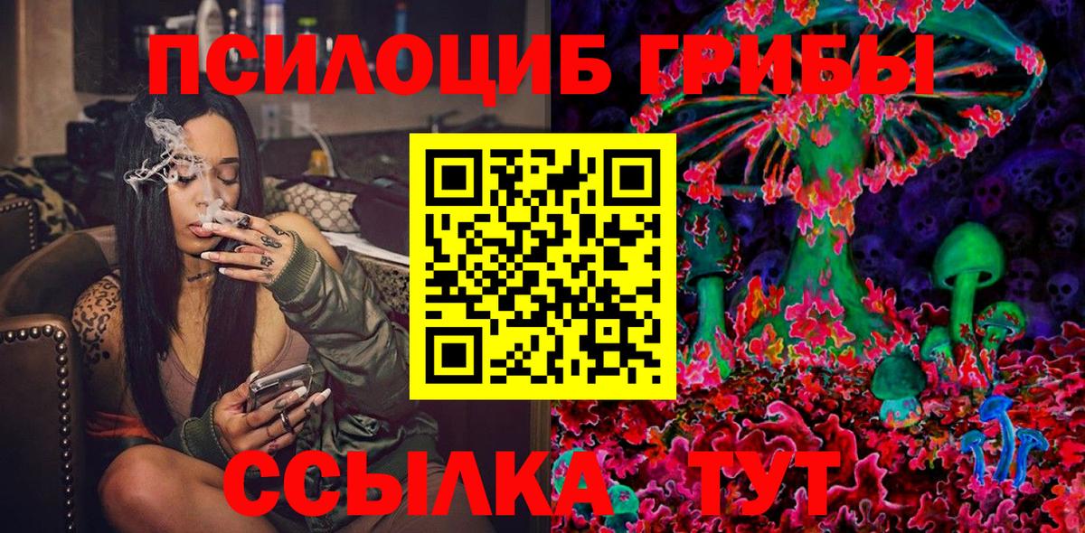 Галлюциногенные грибы Psilocybine cubensis  Вход с VPN  Шахты 